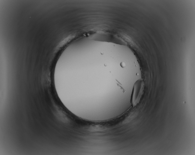 X0000086790634200705041549