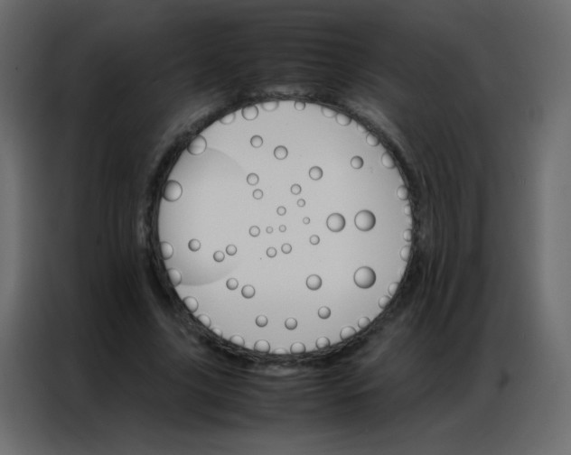 X0000086790635200705041549