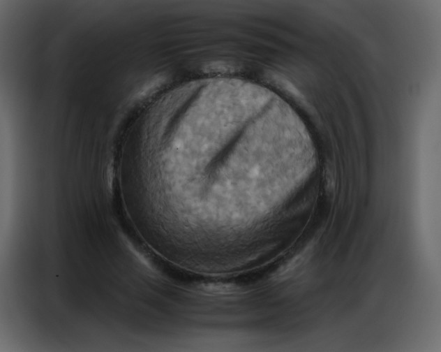 X0000086790637200705041549