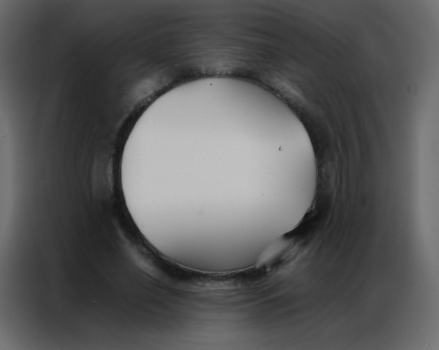 X0000086790638200705041549