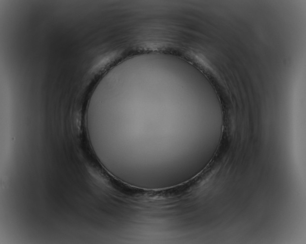 X0000086790640200705041549