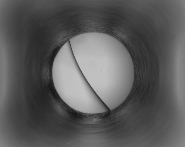 X0000086790642200705041549