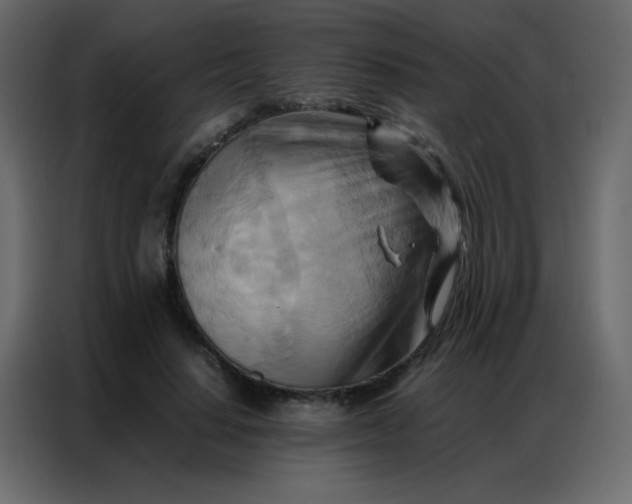 X0000086790644200705041549