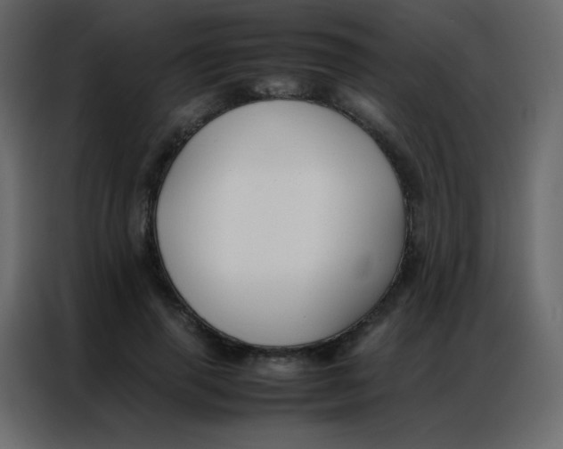 X0000086790645200705041549