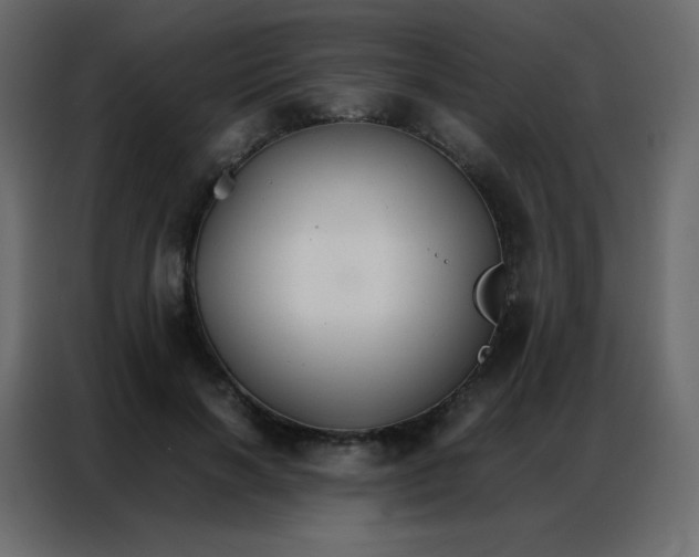 X0000086790646200705041549