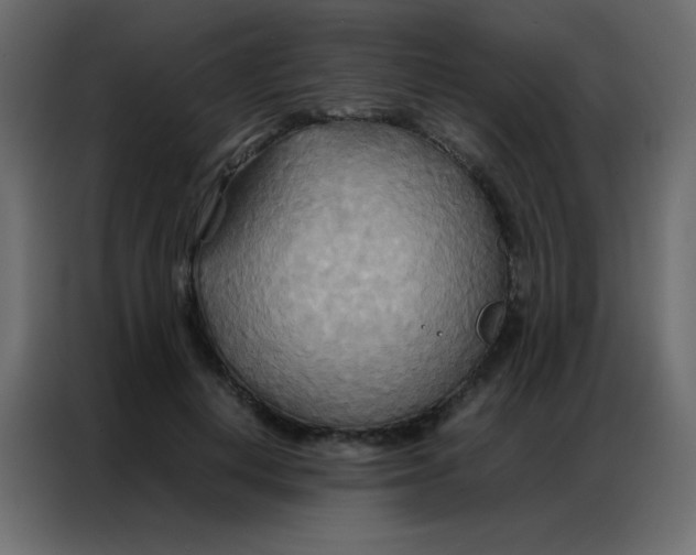 X0000086790648200705041549