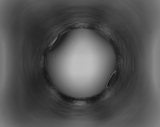 X0000086790649200705041549