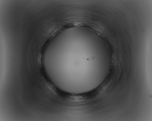 X0000086790650200705041549