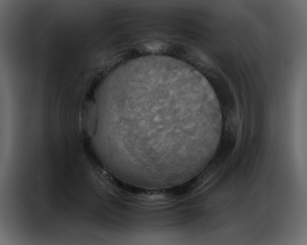 X0000086790651200705041549