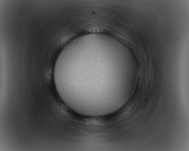 X0000086790652200705041549