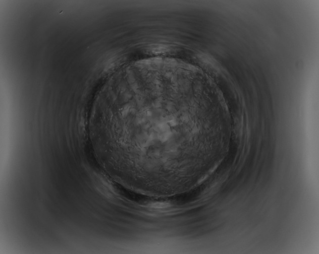 X0000086790653200705041549