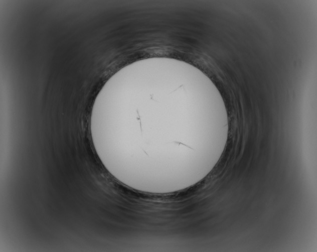 X0000086790655200705041549