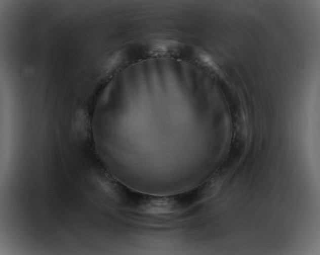 X0000086790659200705041549