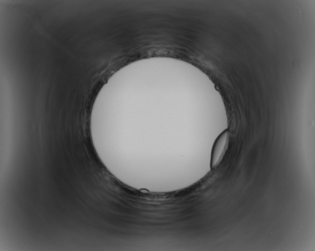 X0000086790661200705041549