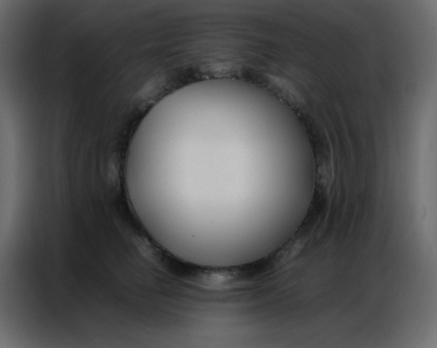 X0000086790662200705041549