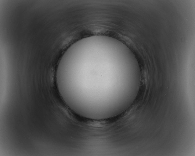 X0000086790664200705041549