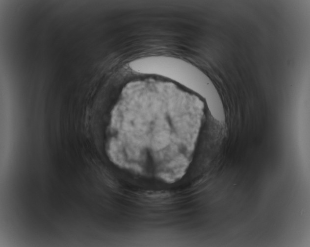 X0000086790667200705041549