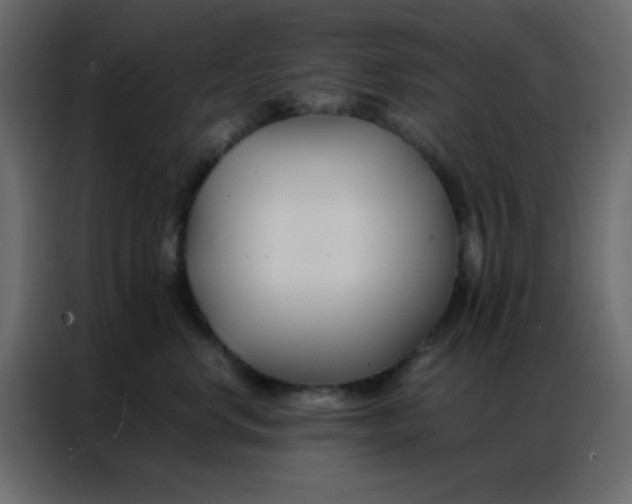 X0000086790668200705041549