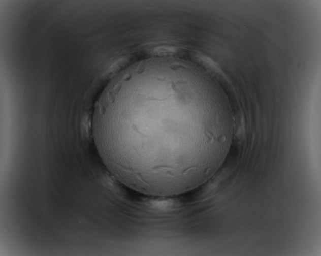 X0000086790669200705041549