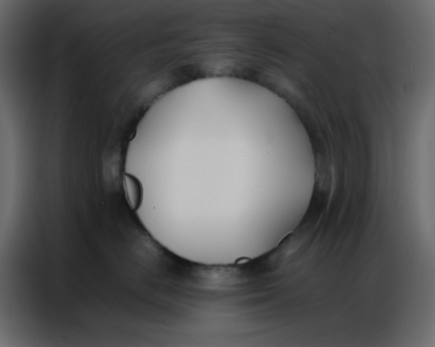 X0000086790670200705041549