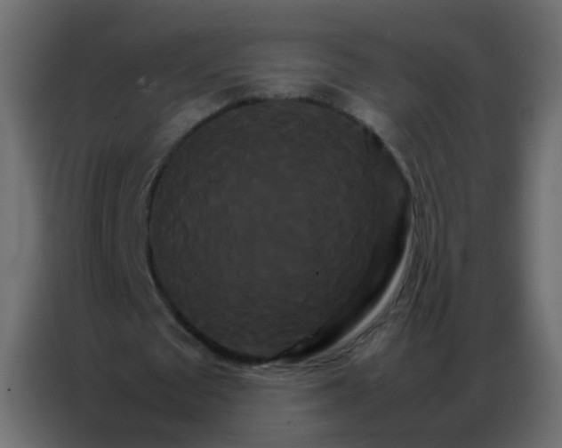 X0000086790673200705041549