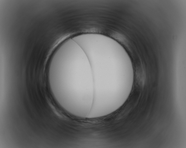 X0000086790674200705041549