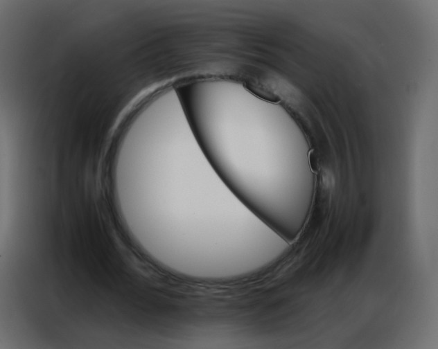 X0000086790676200705041549