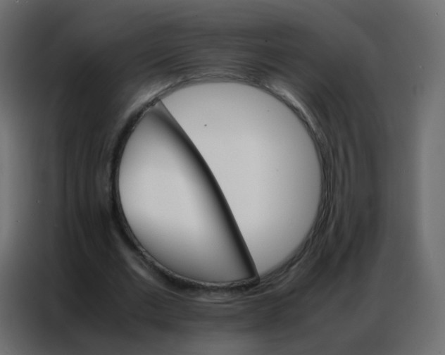 X0000086790677200705041549