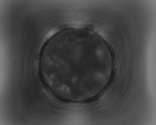 X0000086790679200705041549