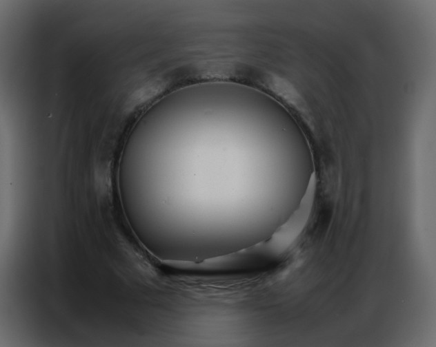 X0000086790681200705041549