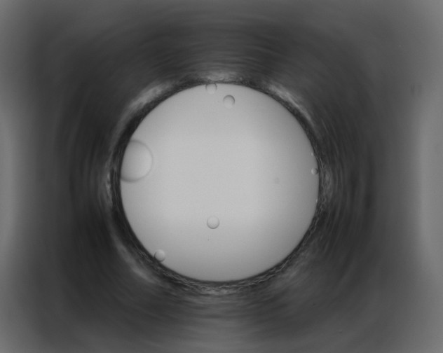 X0000086790682200705041549