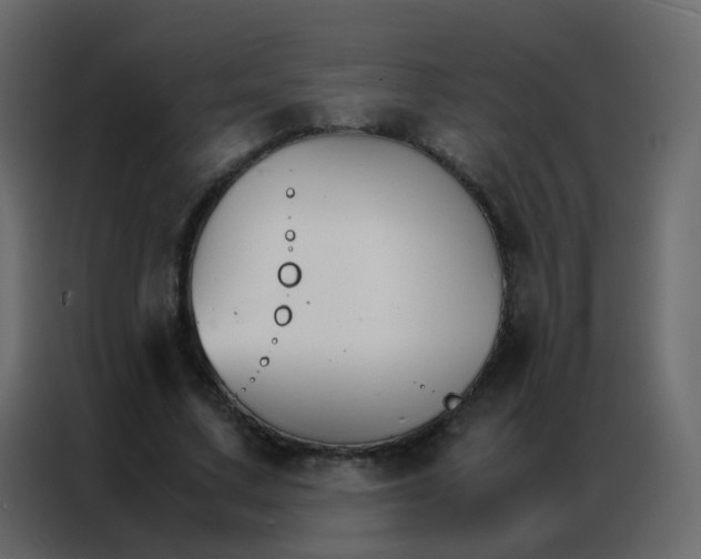 X0000086790683200705041549