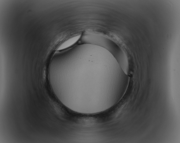 X0000086790685200705041548