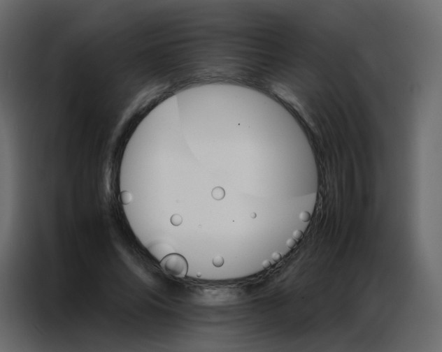 X0000086790686200705041548