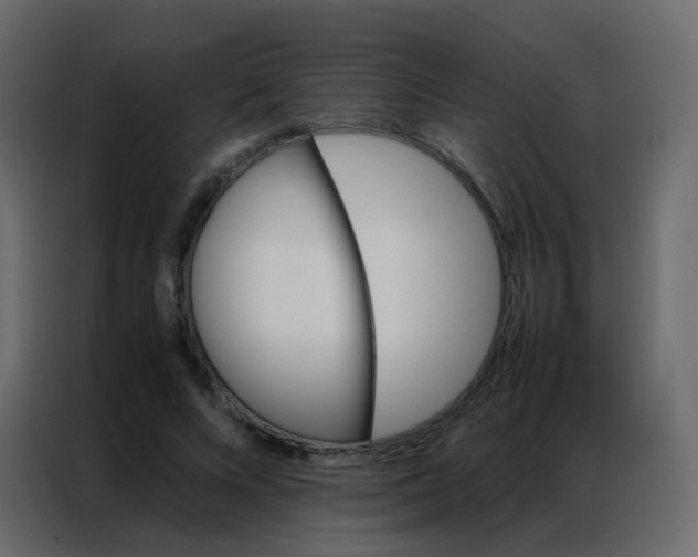 X0000086790688200705041548