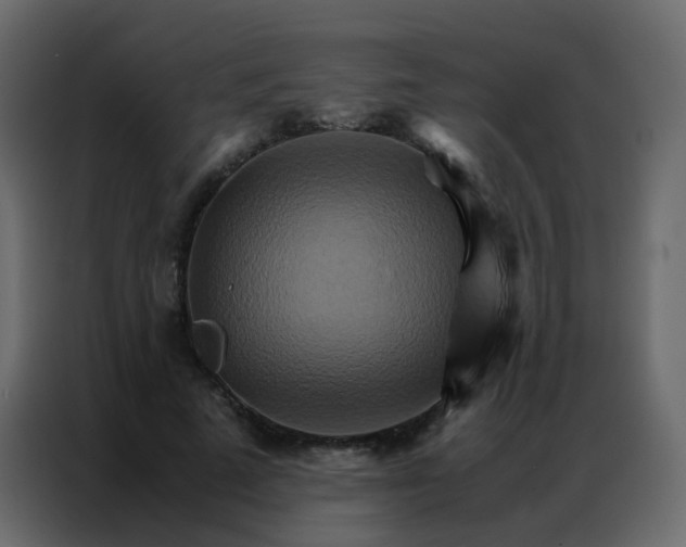 X0000086790689200705041548