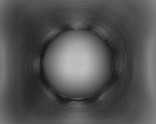 X0000086790690200705041548