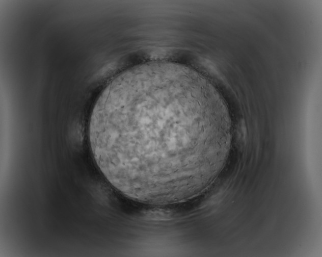 X0000086790691200705041548