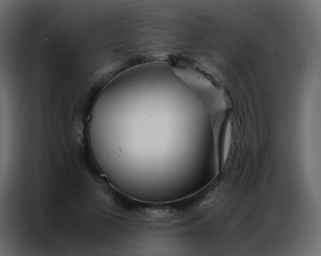 X0000086790693200705041548