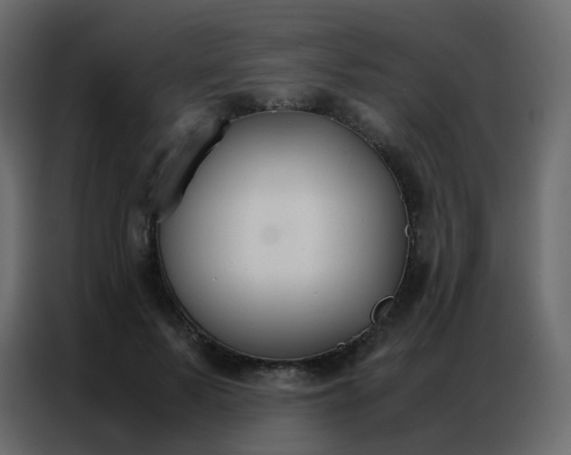 X0000086790695200705041548