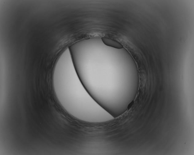 X0000086790696200705041548