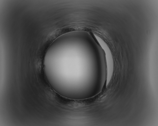 X0000086790697200705041548