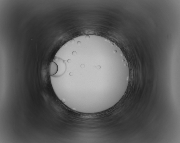 X0000086790698200705041548