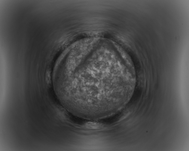 X0000086790699200705041548