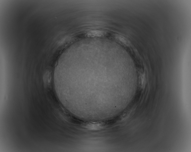 X0000086790701200705041548