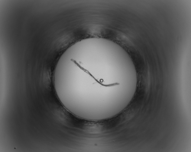 X0000086790702200705041548