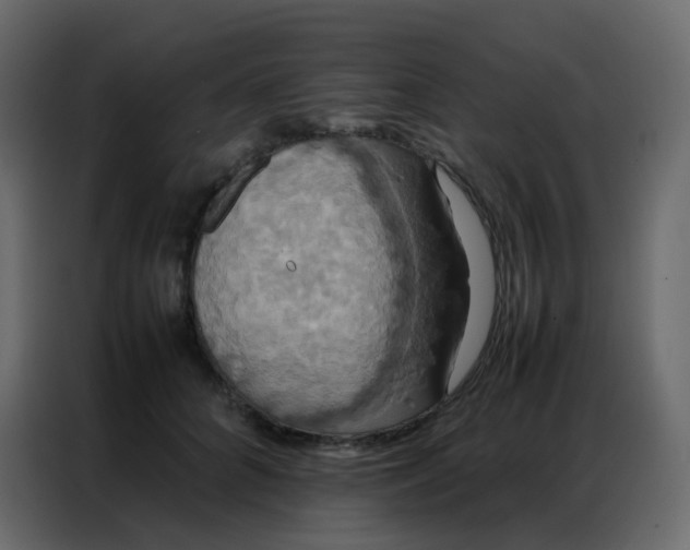 X0000086790704200705041548