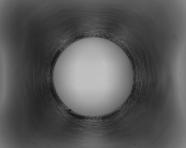 X0000086790708200705041548