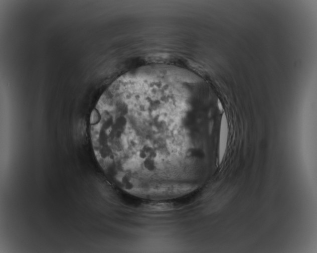 X0000086790711200705041548