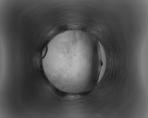 X0000086790712200705041548